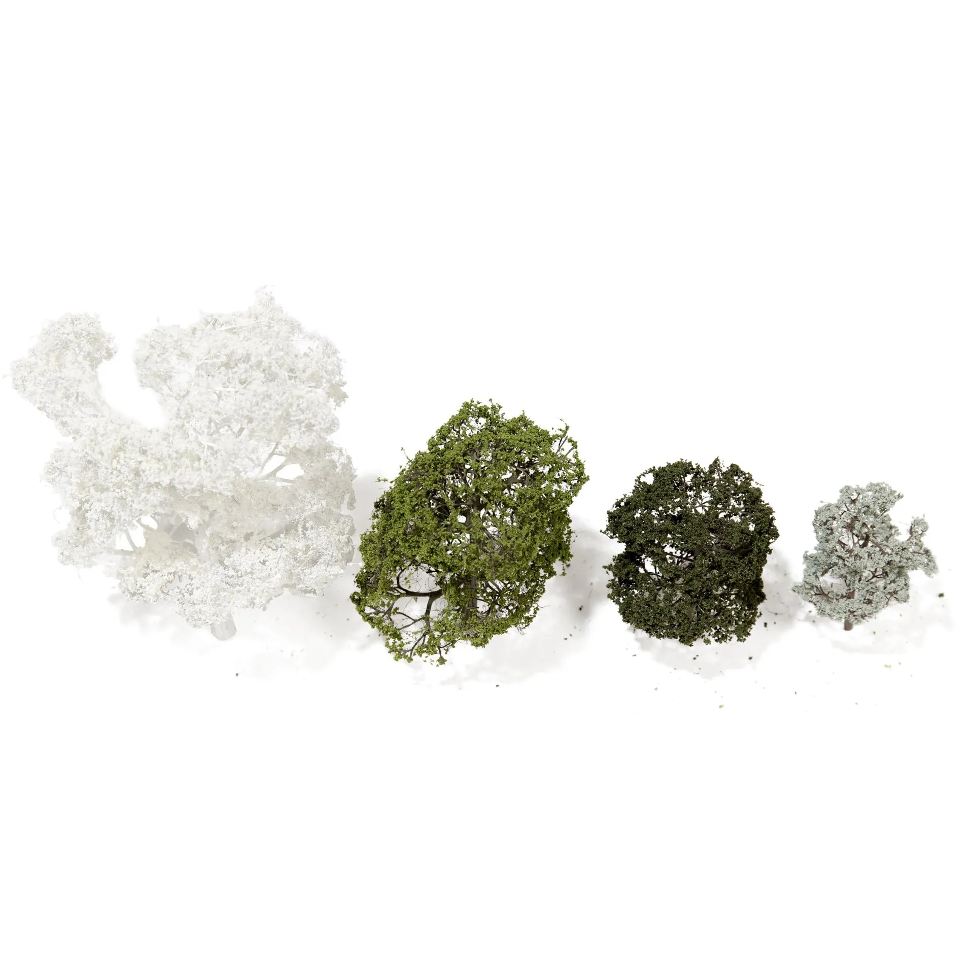 Árboles de hoja caduca grabados al ácido