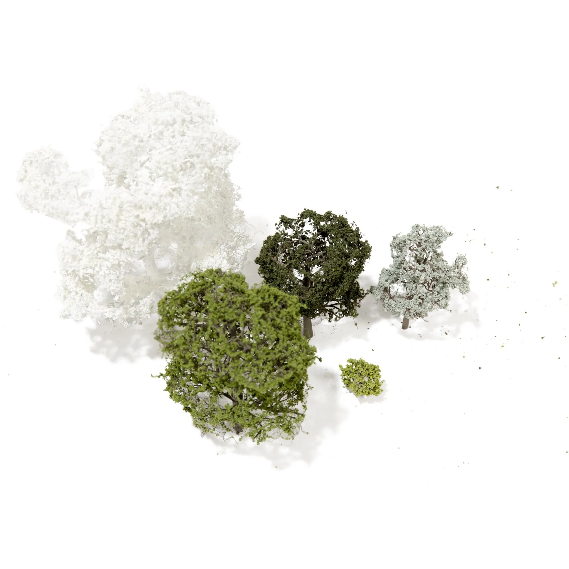 Árboles de hoja caduca grabados al ácido